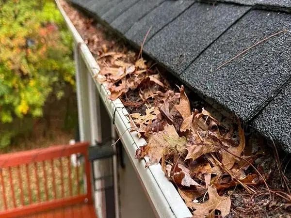 Gutter packed with oak leaves and pine needles next to a deck railing