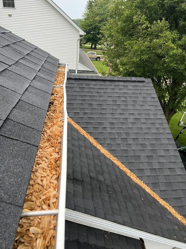 Gutter and roof valley filled with maple seeds